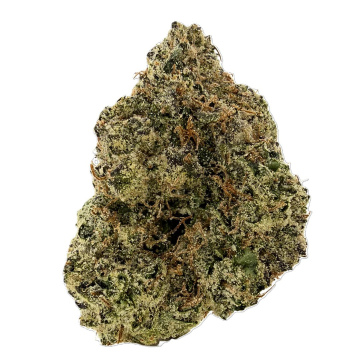 Lemon cherry exotic