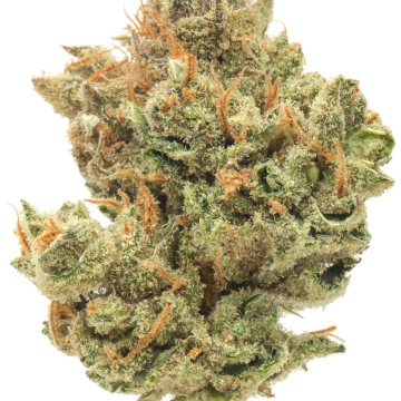 Super lemon haze