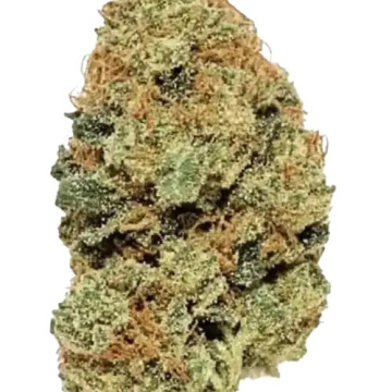 Acapulco Gold