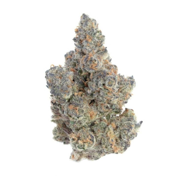 Sunset sherbet